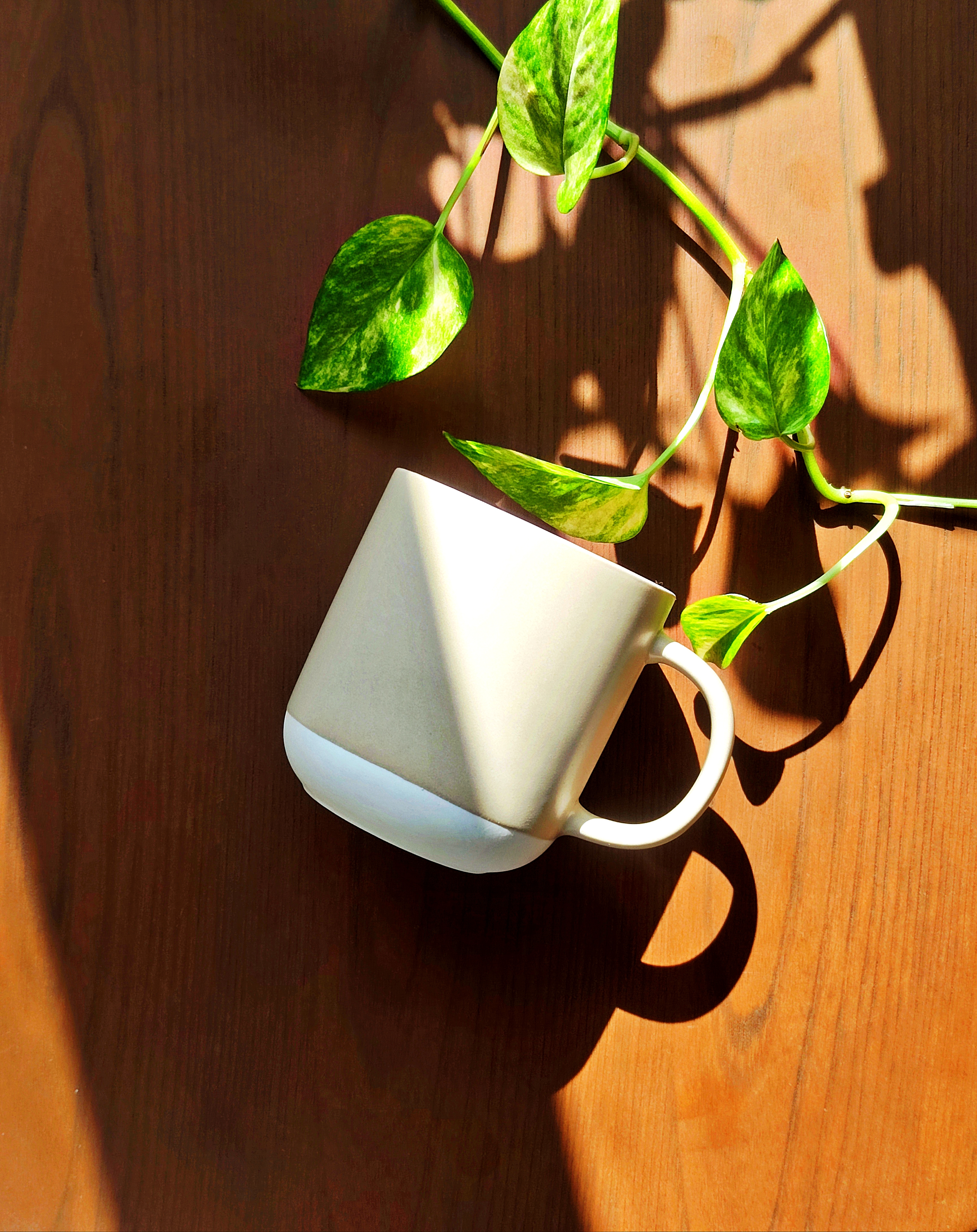 ماگ ساده رنگ نود نسکافه ای